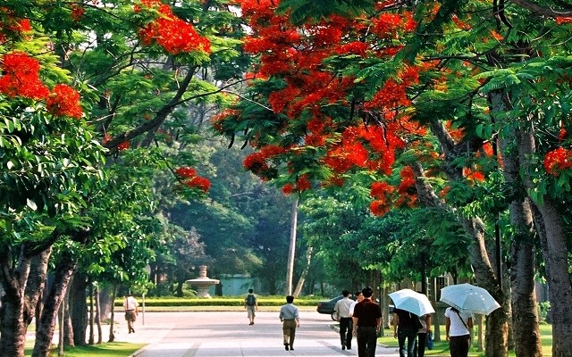 91中学校园风景